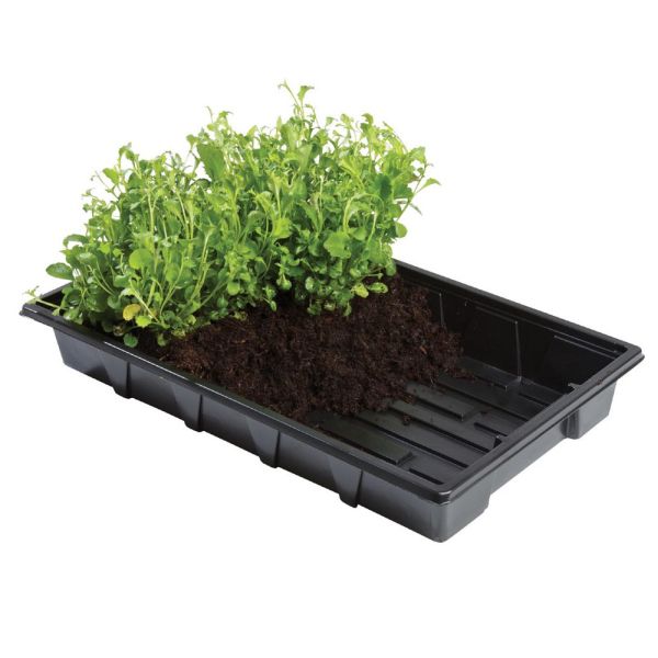 Professional Gravel Trays - Pack of 5